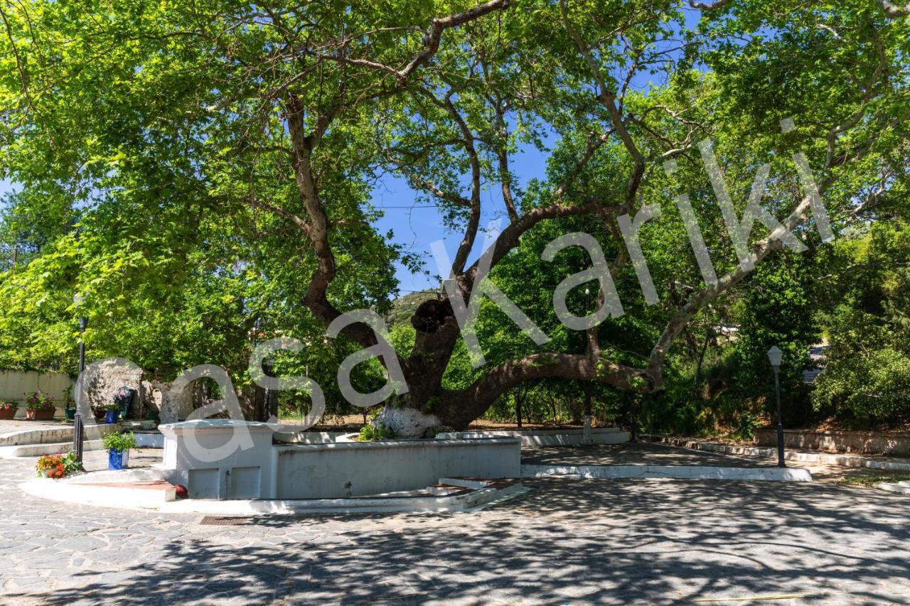 Casa Kariki - Traditional House In Psinthos Villa Exterior photo